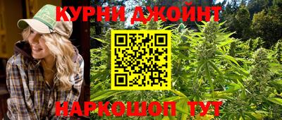 трава Гатчина