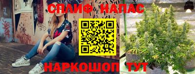 a pvp Бузулук