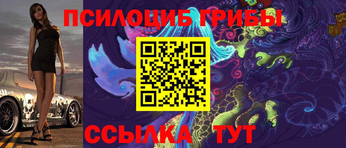 Галлюциногенные грибы Psilocybe Новокуйбышевск
